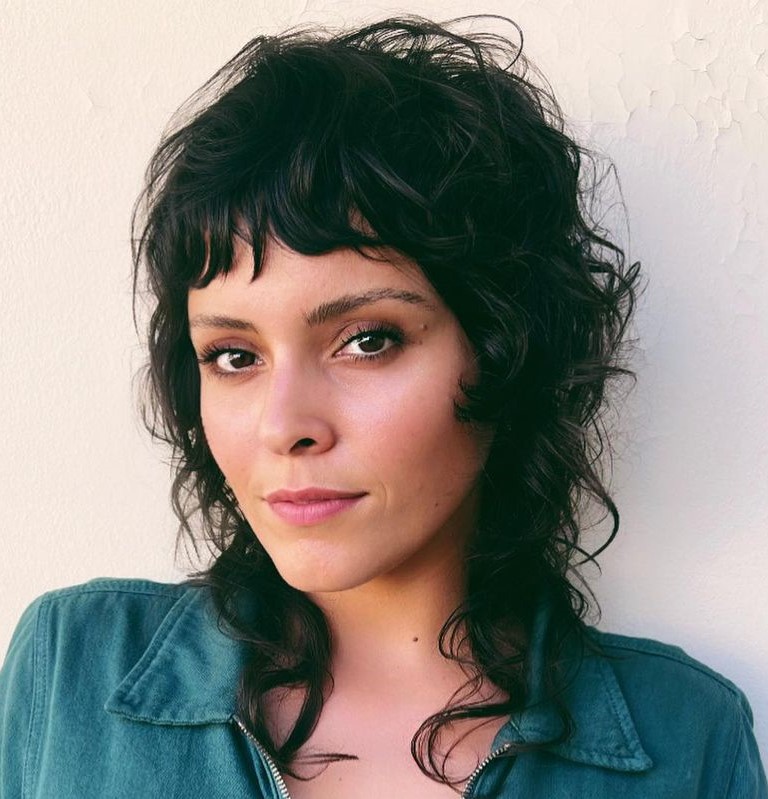 Wolf Cut with Shaggy Layers Wavy Wolf Cut Mullet