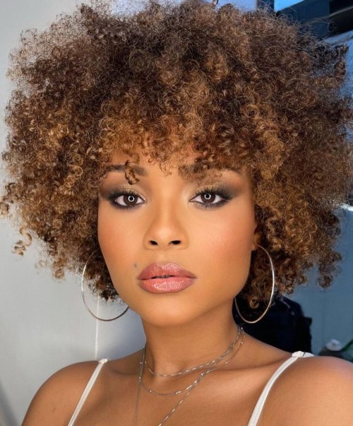 Sun-Kissed Curly Afro Layered Cut for Natural Hair